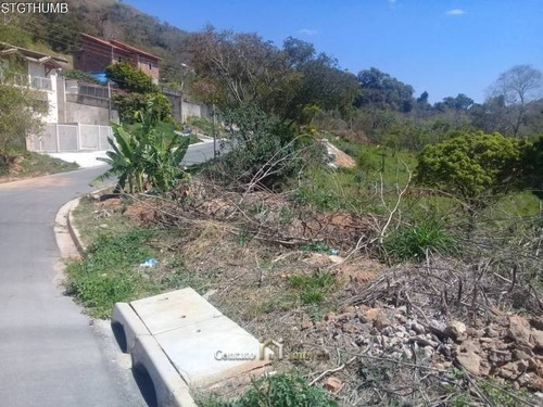 Imagem 7 de 8 de Terreno Jardim Maristela Em Atibaia - 599m² - Te0101-1