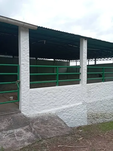 Venta De Finca - Cordero