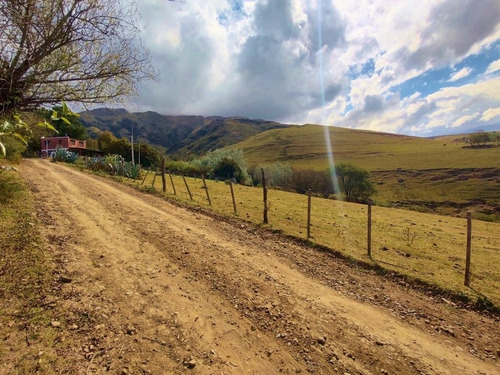 Imagen 3 de 9 de Venta Terreno 1000m2 La Loma De La Ovejeria Tafi Del Valle