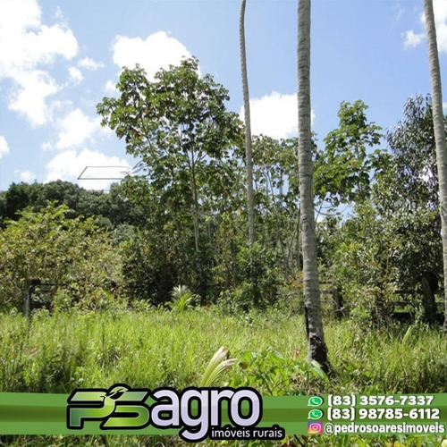 Imagem 16 de 18 de ( Oportunidade )fazenda Na Região De Pedras De Fogo, C/ 80ha - Fa0077