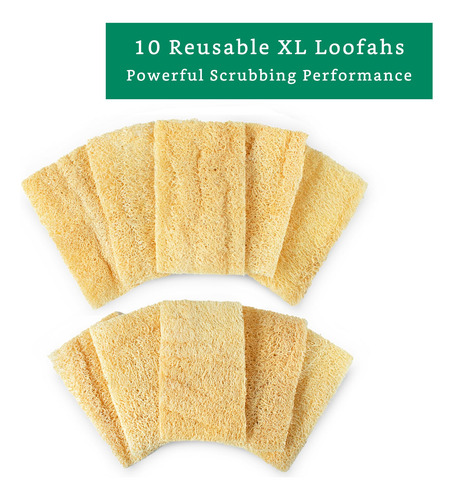 Esponjas Lufa Naturales Xl 10 Unidades Platos Ecológicos