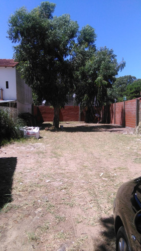 Lote Sobre Avenida 