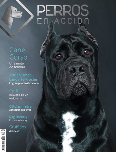 Imagen 1 de 1 de Revista Perros En Acción