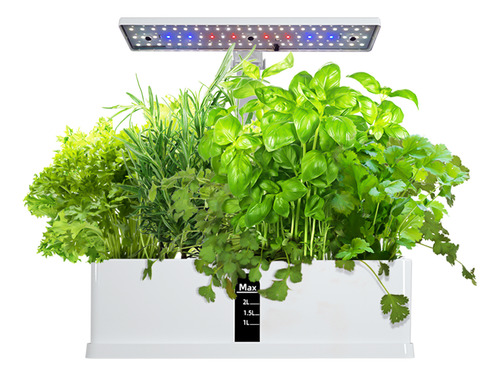 Kit Hydroponics Gg System Para Jardín De Hierbas Para Inter