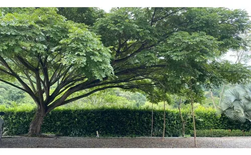 Finca En Venta , En San Jerónimo , Antioquia , Colombia.