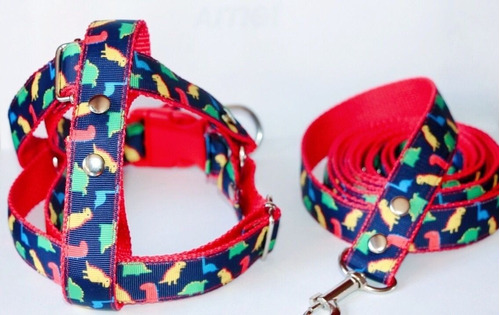 Collar Mascotas Pack Mayorista