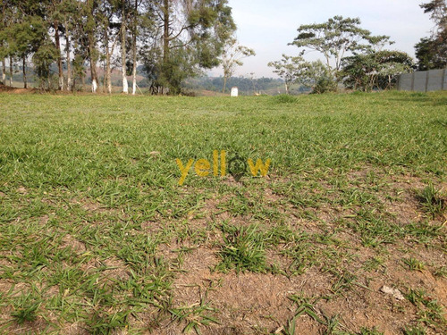 Imagem 7 de 15 de Terreno - Varadouro - Te-1210