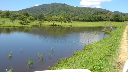 Imagen 5 de 14 de Rancho En El Tuito Jalisco, 21 Ha.