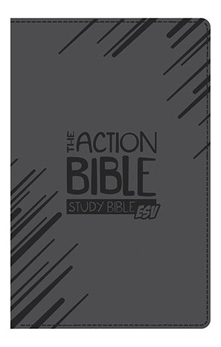 La Biblia De Accion Estudio Biblia Esv Gris