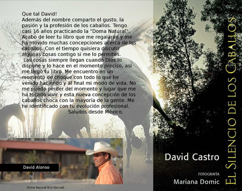 Libro El Silencio De Los Caballos - David Castro