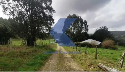 Terreno Parcelado En Venta En Los Muermos