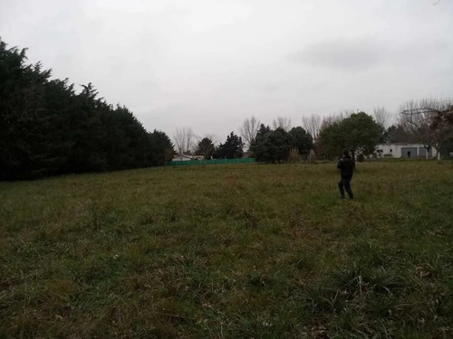 Lotes En Venta En La Lonja, Pilar
