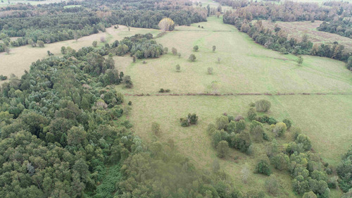 Hermoso Campo A 15 Km De Osorno