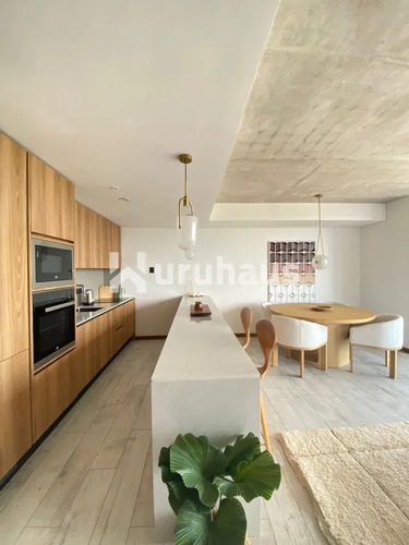 Alquiler Apartamento Un Dormitorio Punta Del Este Brava Edificio Surfside