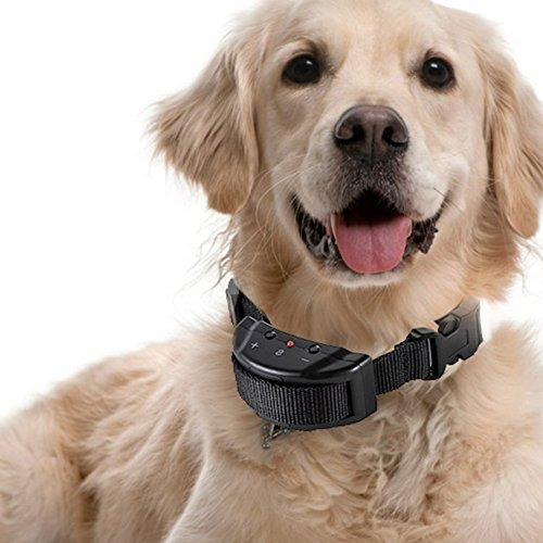 Sin Bark Dog Collar Eléctrico Anti Bark Shock Control Con