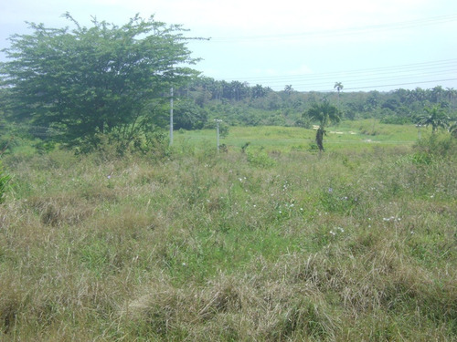 Imagen 12 de 13 de Terreno En Venta Via Sotillo Colinas De Ibiza Higuerote Riv#5548