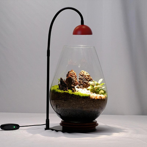 Indoor Plants Light With Timer Function Easy To Use Tabletop