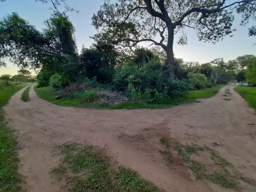 Imagen 4 de 13 de Gran Esquina Con Encanto Natural, Paso De La Patria