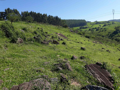 Imagem 8 de 30 de Vendo Chácara 30.000 M² Morungaba Com Casas, Nascente, Lago Piscina, Pasto. - Ch00018 - 33766655