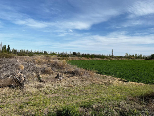 Finca Con Produccion De Alfalfa Y Vivienda