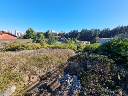 Excelente Terreno En Los Pinos