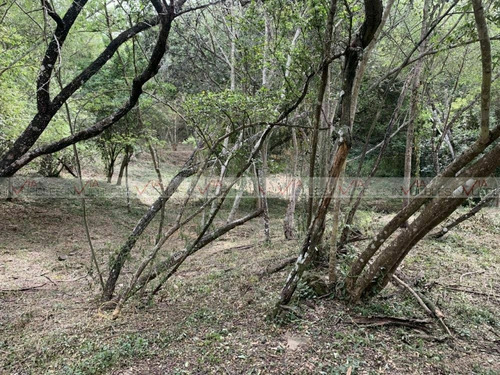 Imagen 11 de 15 de Terreno Residencial En Venta En El Vergel, Allende, Nuevo Le