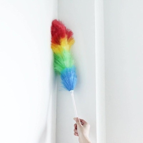 Plumero Multicolor Sintetico Magnetico Estatico Gay Friendly