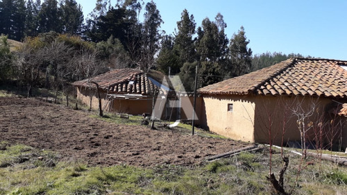 Imagen 4 de 14 de Paredones, Vendo Predio Agrícola Forestal, 23,5 Hectáreas...