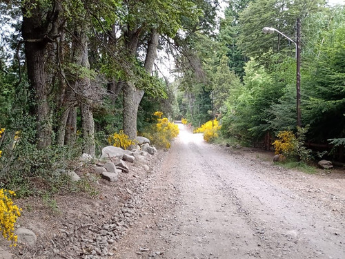 Terreno En Venta En Villa Traful Con Arboles Añejos