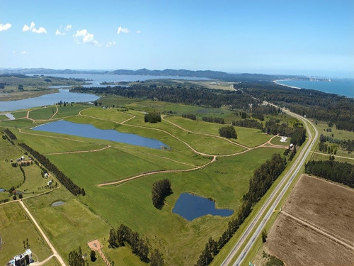 Imagen 11 de 11 de Terreno En Laguna De Los Cisnes, Punta Ballena - Laguna De Los Cisnes