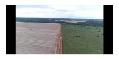 Imagem 9 de 22 de Fazenda 1958 Hectares, Planta 1500 Hectares, Rica Em Água Com Rios, Açudes, Casas, Curral, Galpões, Poços Artesianos, Terra Fértil - Fa00237 - 70701334