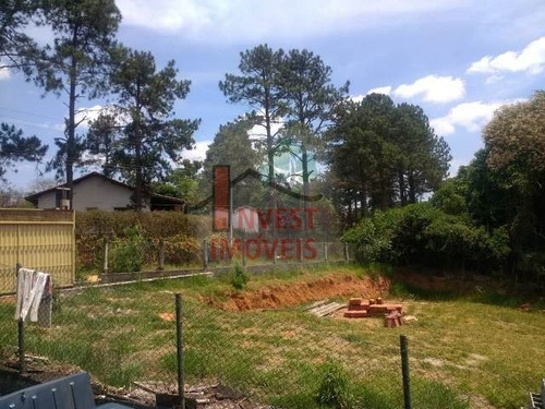 Imagem 5 de 6 de Chacara - Ref: 5215 - V-5215