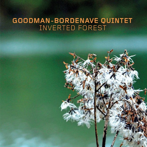 Goodman-bordenave Quintet Inverted Forest Cd Us Import