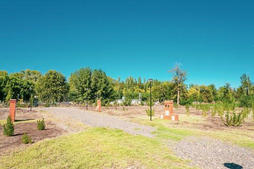 Imagen 8 de 26 de Terreno 1.000 M2 - B° Rincon De Natalia - Plottier