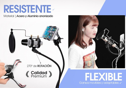Soporte Microfono Brazo Con Base Y Filtro Pop Celular Ganso
