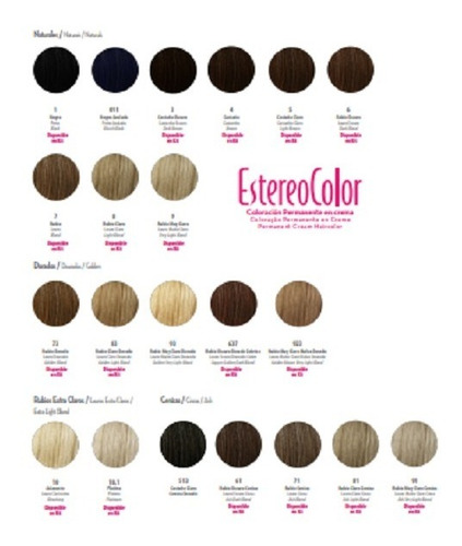 Coloracion Estereocolor N° 1 Negro Kit