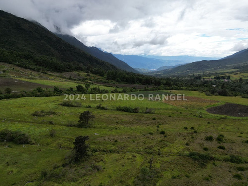 Se Vende Terreno De 6 Hectáreas En La Culata, Mérida.