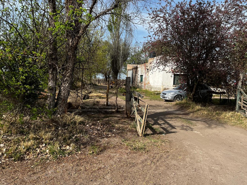 Finca Con Produccion De Alfalfa Y Vivienda