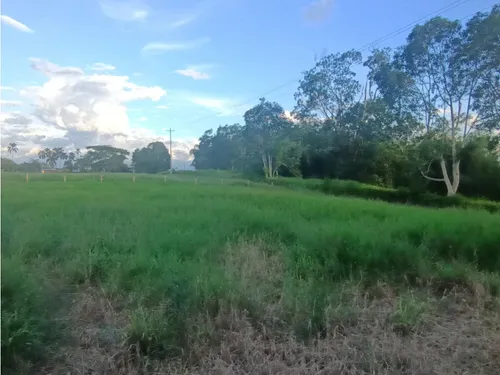 Se Venden Lotes Montenegro Quindío