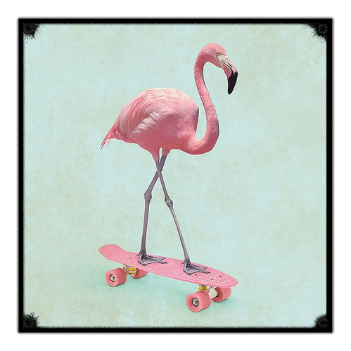 #338 - Cuadro Decorativo Vintage - Cisne Rosado Poster Skate