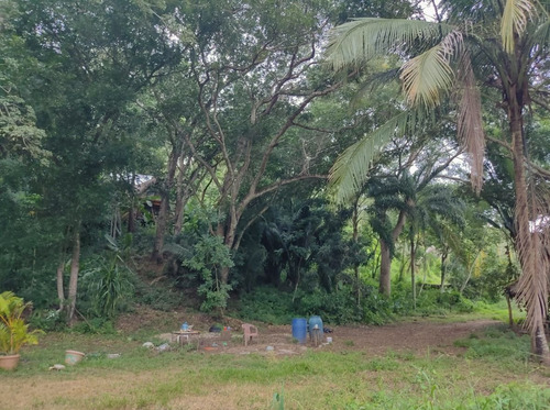 Imagen 8 de 12 de Terreno En San Pancho