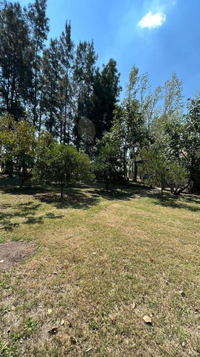 Imagen 2 de 19 de Campo En San Andres De Giles