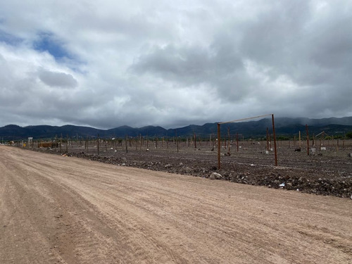 Imagen 1 de 5 de Venta De Terreno A Un Costado De Tianguis De Ganado