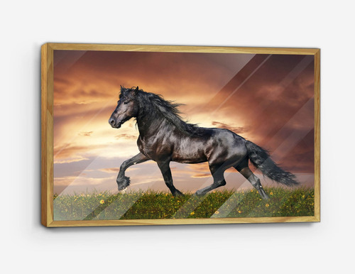 Marco De Madera Con Poster Caballo Negro Al Atardece 45x70cm