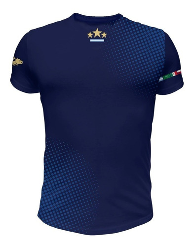 Imagen 2 de 2 de Remera Argentina Mundial Mod 9