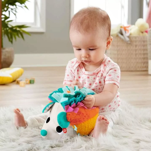 Fisher Price Animalito Erizo Estimulos Y Juegos