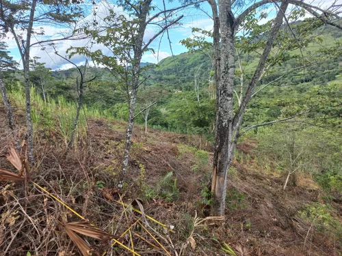 Venta De Lote En Villeta, Vereda Cune
