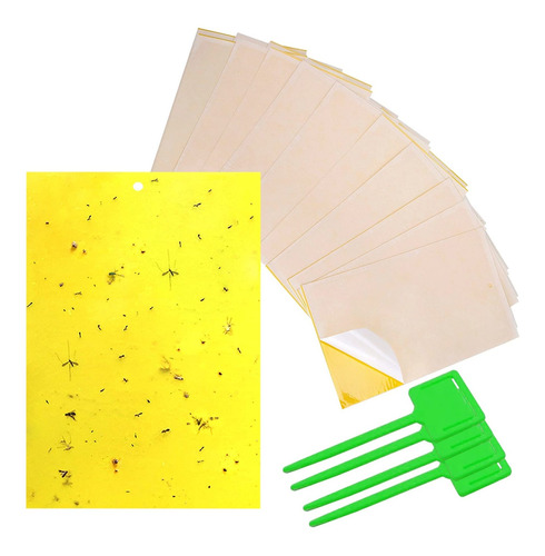 Gingbau Paquete De 40 Trampas Adhesivas Amarillas De Doble C