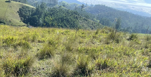 Imagem 8 de 30 de G30- Não Perca Essa Oportunidade! Compre Um Terreno Direto Com O Proprietário