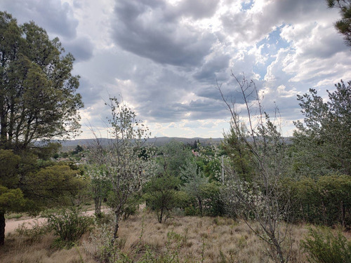 Imagen 5 de 24 de Terreno En Venta De 909m2 Ubicado En Villa Giardino